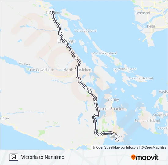 VI CONNECTOR Bus Line Map
