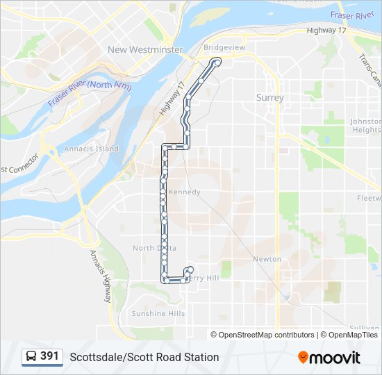 391 Bus Line Map
