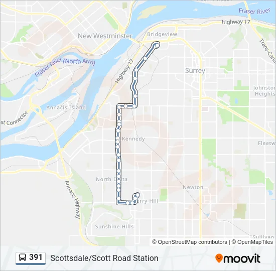 391 Bus Line Map