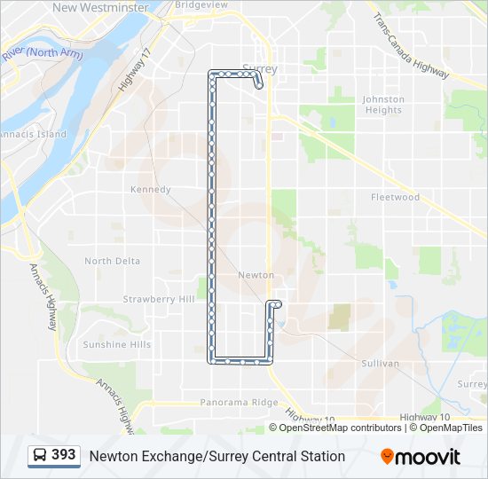 393 Bus Line Map