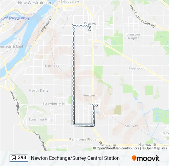 393 Bus Line Map