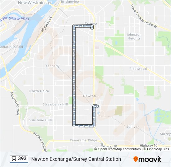 393 Bus Line Map