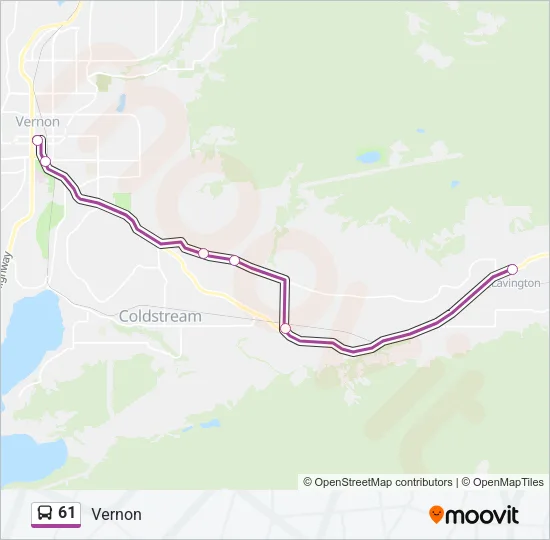 61 Bus Line Map