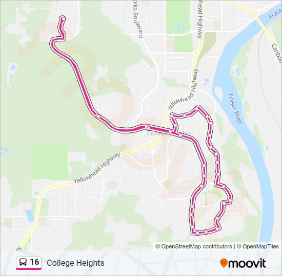 16 Bus Line Map