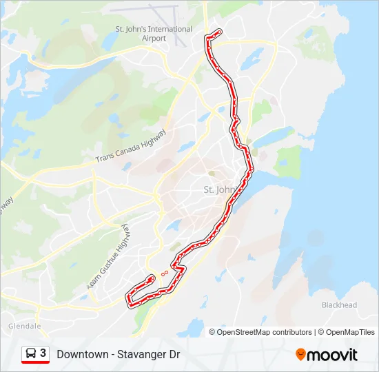 3 Bus Line Map