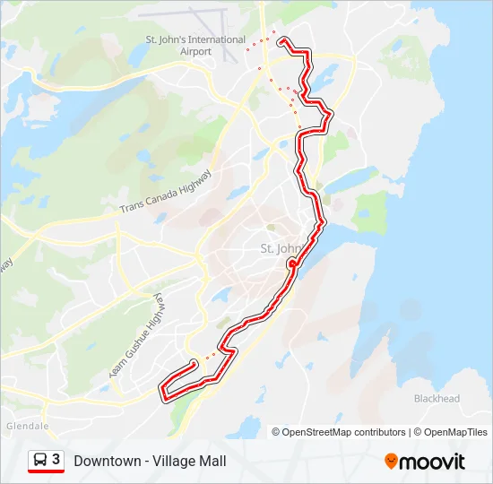 3 Bus Line Map