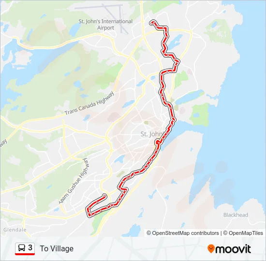 3 Bus Line Map