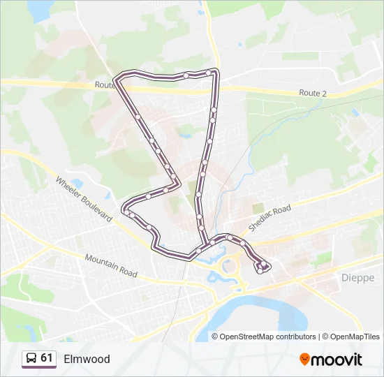 61 Bus Line Map