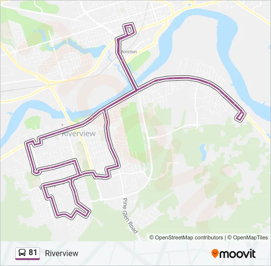 81 Bus Line Map
