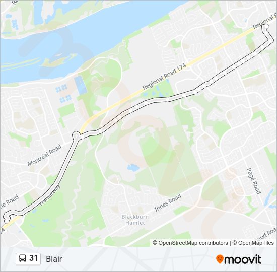 31 Bus Line Map