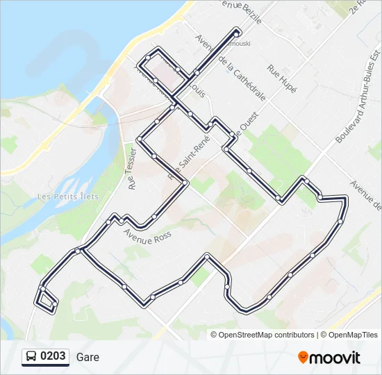 0203 Bus Line Map