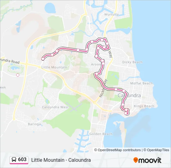 603 Bus Line Map