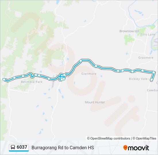 6037 Route: Schedules, Stops & Maps - Camden HS (Updated)