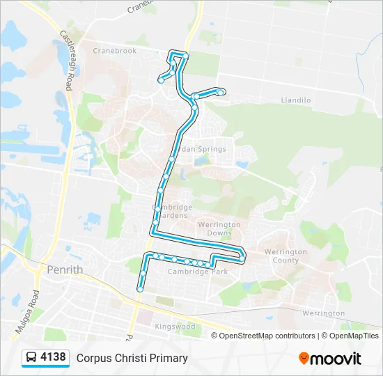 4138 Route: Schedules, Stops & Maps - Corpus Christi Primary (Updated)