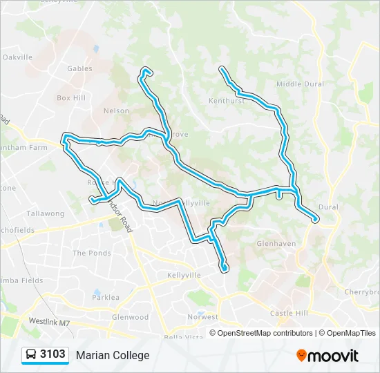 3103 Bus Line Map
