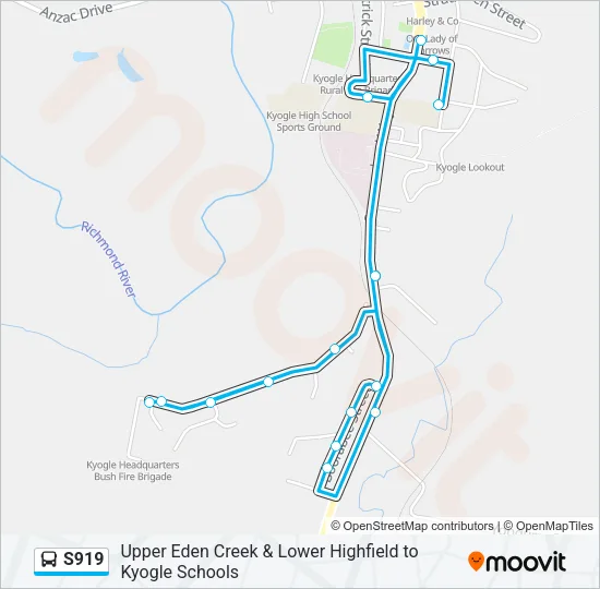 S919 Bus Line Map