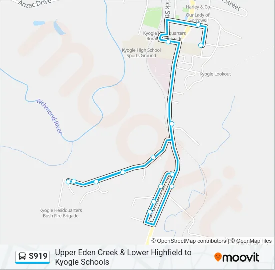 S919 Bus Line Map