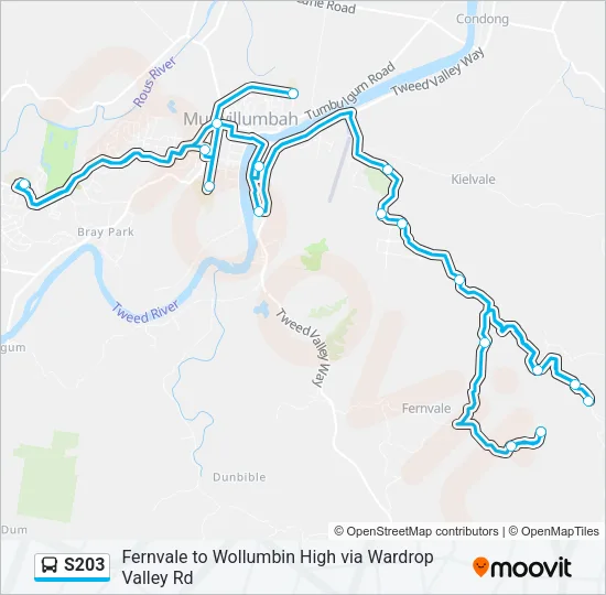 S203 Bus Line Map