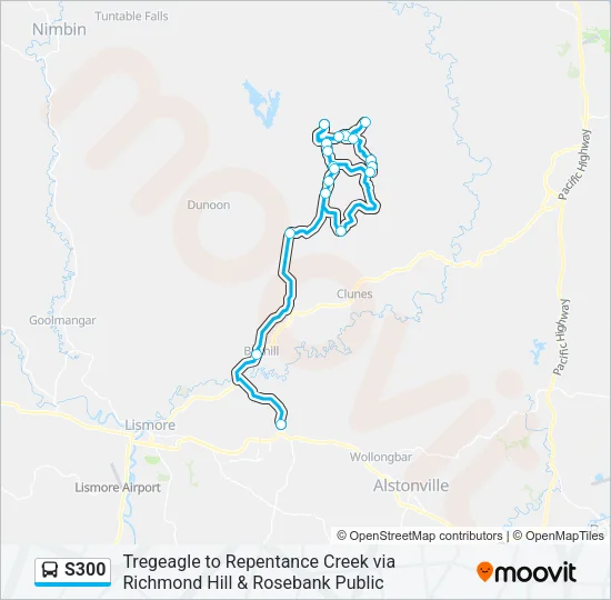 S300 Bus Line Map