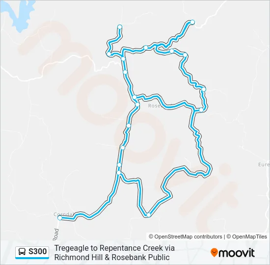 S300 Bus Line Map