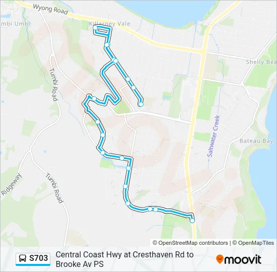 S703 Bus Line Map