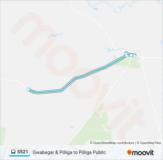 S521 Bus Line Map