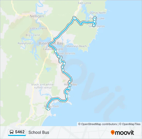 S462 Bus Line Map