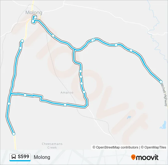 S599 Bus Line Map