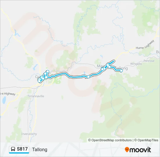 S817 Bus Line Map