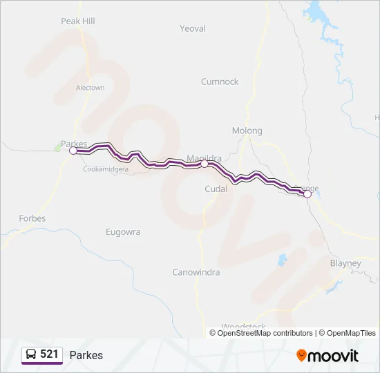 521 Bus Line Map