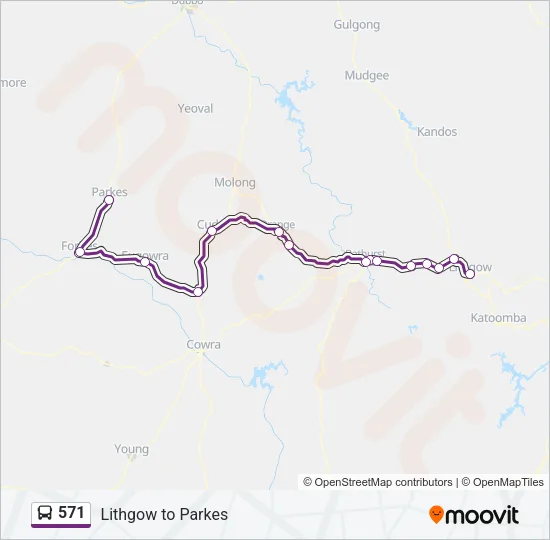 571 Bus Line Map