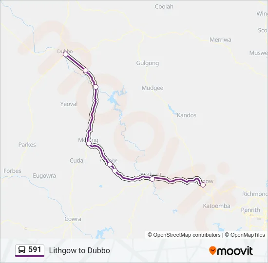 591 Bus Line Map