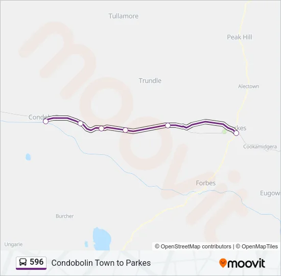 596 Bus Line Map