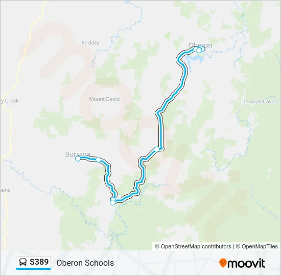 S389 Bus Line Map