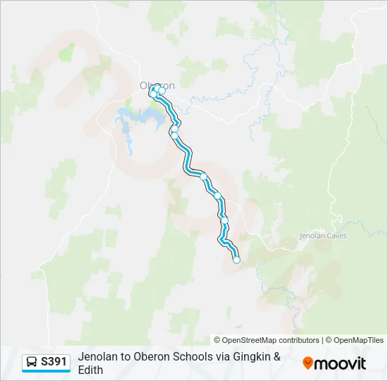 S391 Bus Line Map