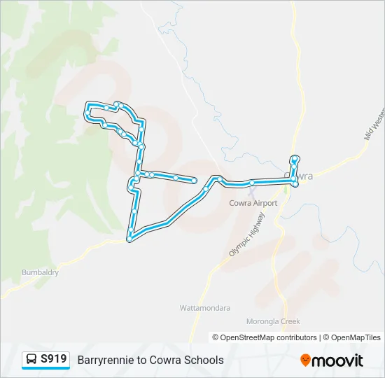 S919 Bus Line Map