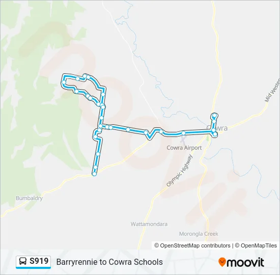 S919 Bus Line Map