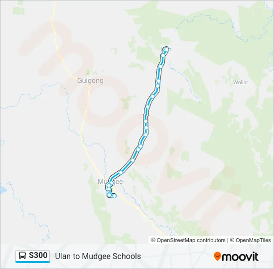 S300 Bus Line Map