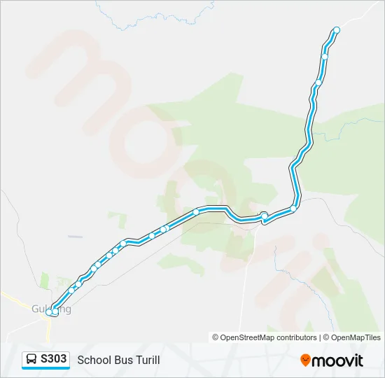 S303 Bus Line Map
