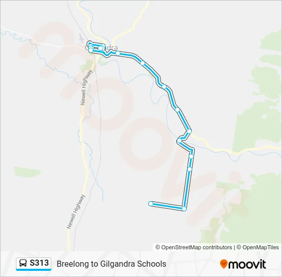 S313 Route: Schedules, Stops & Maps - Breelong (Updated)