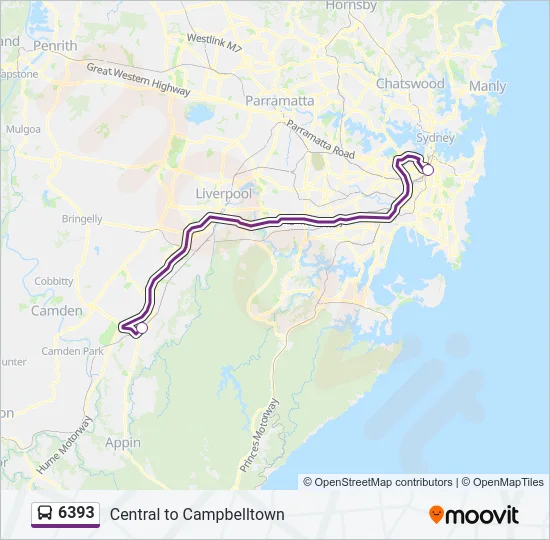 6393 Bus Line Map