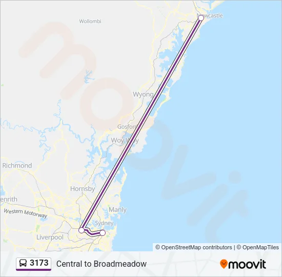 3173 Bus Line Map
