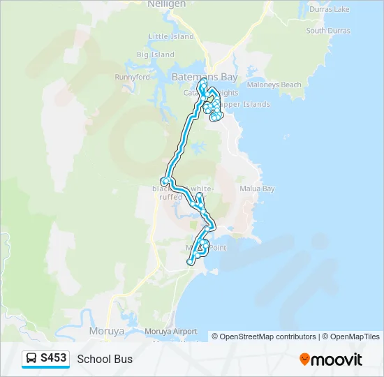 S453 Bus Line Map