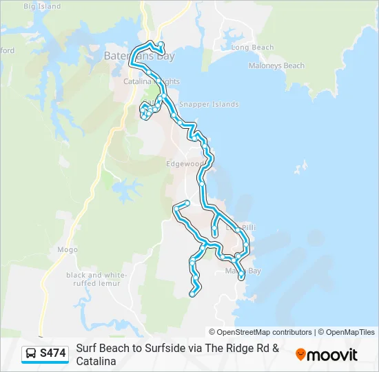 S474 Route: Schedules, Stops & Maps - School Bus (Updated)