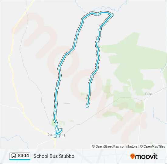 S304 Bus Line Map