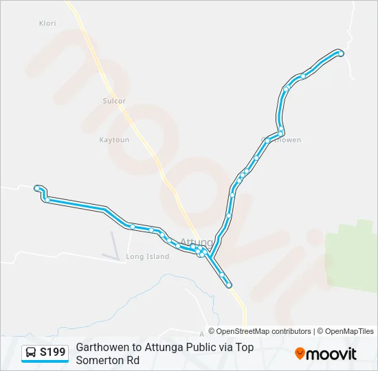 S199 Bus Line Map