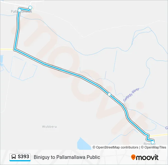 Mapa de S393 de 