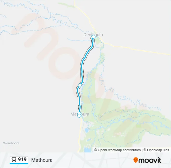 919 Bus Line Map