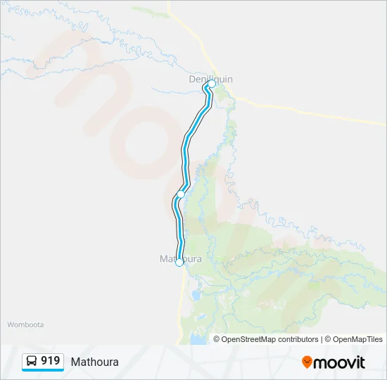 919 Bus Line Map