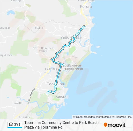 391 Route: Schedules, Stops & Maps - Park Beach Plaza (Updated)